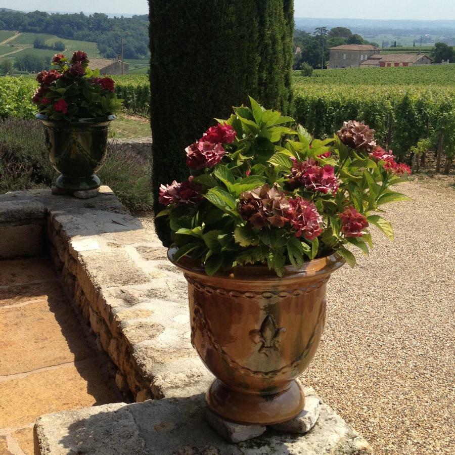 Chemin De Gargamelle Gite 'Mirabelle' Villa Ligueux  Exteriör bild